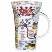  Glencoe The Nervous System 500 -  