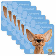     Chihuahua 10,510,5 340-3519 -  