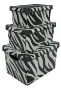    Style Box 412430 Zebra 20