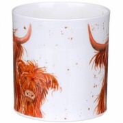  Orkney Shaggy tails highland cow 350