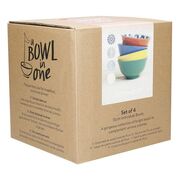   World of Flavours 15,5 KCBOWL15PK4WOF