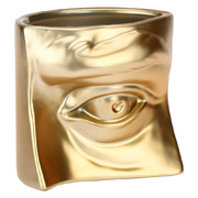  Augusto Eye Gold 15,5911 H225700019