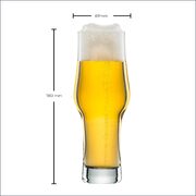     BEER BASIC 365 123648