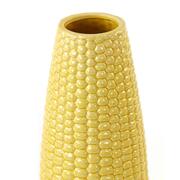  Corn 41 5835861