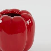  Bellpepper 30,5 5836417