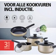   Indu+ 30004651