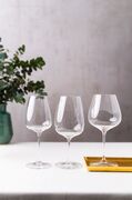    Grape@Riedel White Wine/Champagne Glass/Rosé/Spritz Drinks 550 0424/05