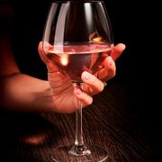    Cabernet Vins Jeunes 470 E2790