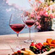    Cabernet Vins Jeunes 470 E2790