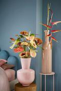  Judy pink 45 1166256