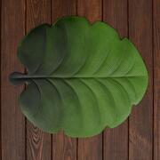    Leaves 4539 LEAVES-Calathea-6set