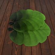    Leaves 4539 LEAVES-Calathea-6set