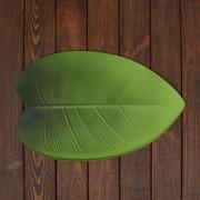    Leaves 4428 LEAVES-Ficus-2set