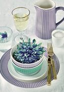  Alice Purple 1 5707463393605