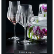     Tulipa _optic 350 B40894-350