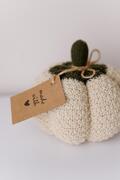   Medium Happy Fall Pumpkin  25 4823093472440