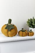   Mini Happy Fall Pumpkin  9 4823093472426