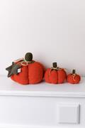   Happy Fall Pumpkin  15 4823093472501