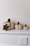   Happy Fall Pumpkin  15 4823093472457