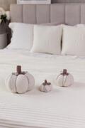   Happy Fall   15 4823093473911