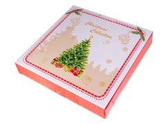  2-  Christmas Delight 21,5/26,5 985-211