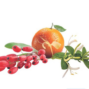  Spirale Rouge   Lamps Goji Berries 250 4805