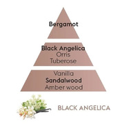  Terra Rouge   Lamps Black Angelika 250 4783