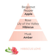  Ice Cube   Diffusers Hibiscus Love 125 6396