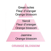  Ice Cube   Diffusers Orange Blossom 125 6876