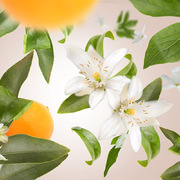  Ice Cube   Diffusers Orange Blossom 125 6876
