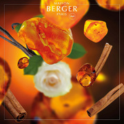    Aromas Amber Powder 200 6036