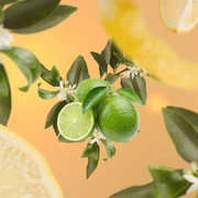    Aromas Lemon Flower 200 6247