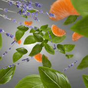    Aromas Anti-Kitchen Fresh & Floral 200 6270