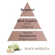      Car Diffusers Black Angelika 7697