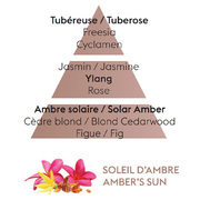     Car Diffusers Amber's Sun 6950