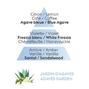     Car Diffusers Agaves Garden 6992