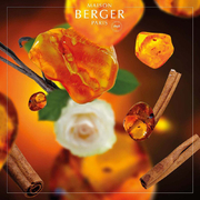    Aromas for the home Amber Powder 500 115022
