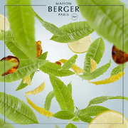    Aromas for the home Zest of Verbena 500 115056