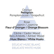    Aromas for the home White Musk 500 115091