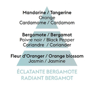    Aromas for the home Radiant Bergamot 500 115341