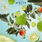    Aromas for the home Radiant Bergamot 500 115341