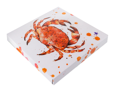    Red Shells 27 922-114