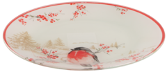   NY Winter Bird 25 S3010-1