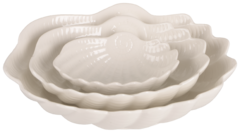  Shell 19156 B010388
