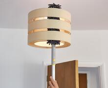     31     Cleantech 5384 6500013