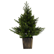    LED  90 5900779899087