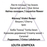   Lolita Lempicka Parme Diffusers Lolita Lempicka 100/90 7768