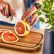    - Eversharp 16,5 K297S244