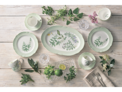    English Herbs 360 4942l/97827