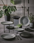 ������� ��������� Diana 19�� V0124